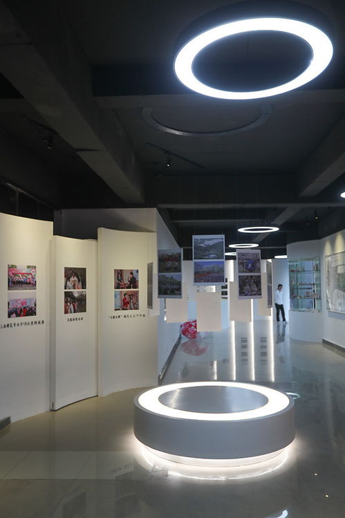 上海顾村公园樱花文化艺术展示馆开馆 探索文化场馆的管理与服务创新